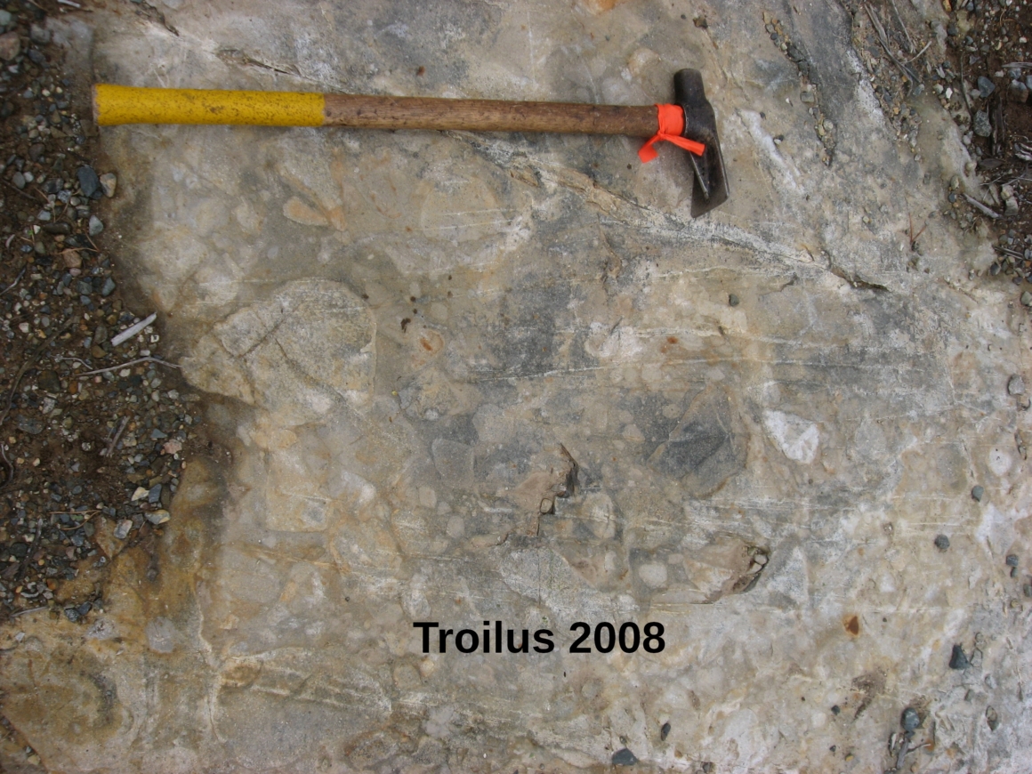 troilus 2008